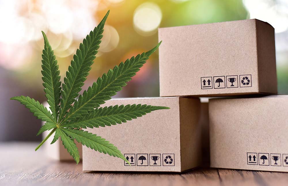 Custom CBD Boxes – Eco-Friendly Packaging That Builds Your Brand
