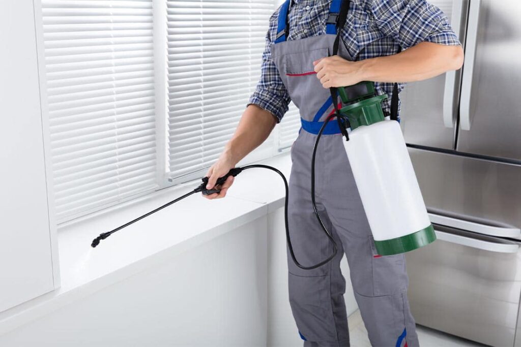 pest control in dubai