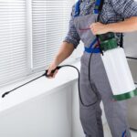 pest control in dubai