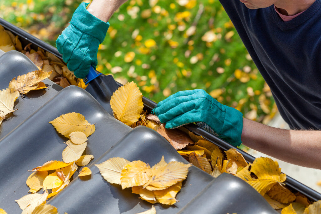 Protect Your Home from Water Damage: The Ultimate Guide to Gutter Cleaning in Geelong