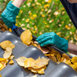 Protect Your Home from Water Damage: The Ultimate Guide to Gutter Cleaning in Geelong