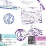 The Complete Guide to Apostille Attestation and Its Importance