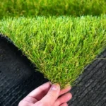 Where to Purchase Quality Turf for Your Home?