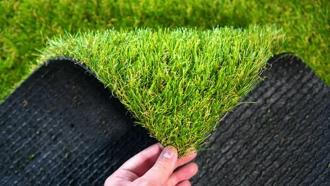 Where to Purchase Quality Turf for Your Home?