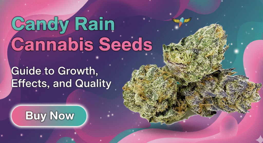 Candy Rain Cannabis Seeds