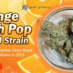 Orange Push Pop Hybrid Strain