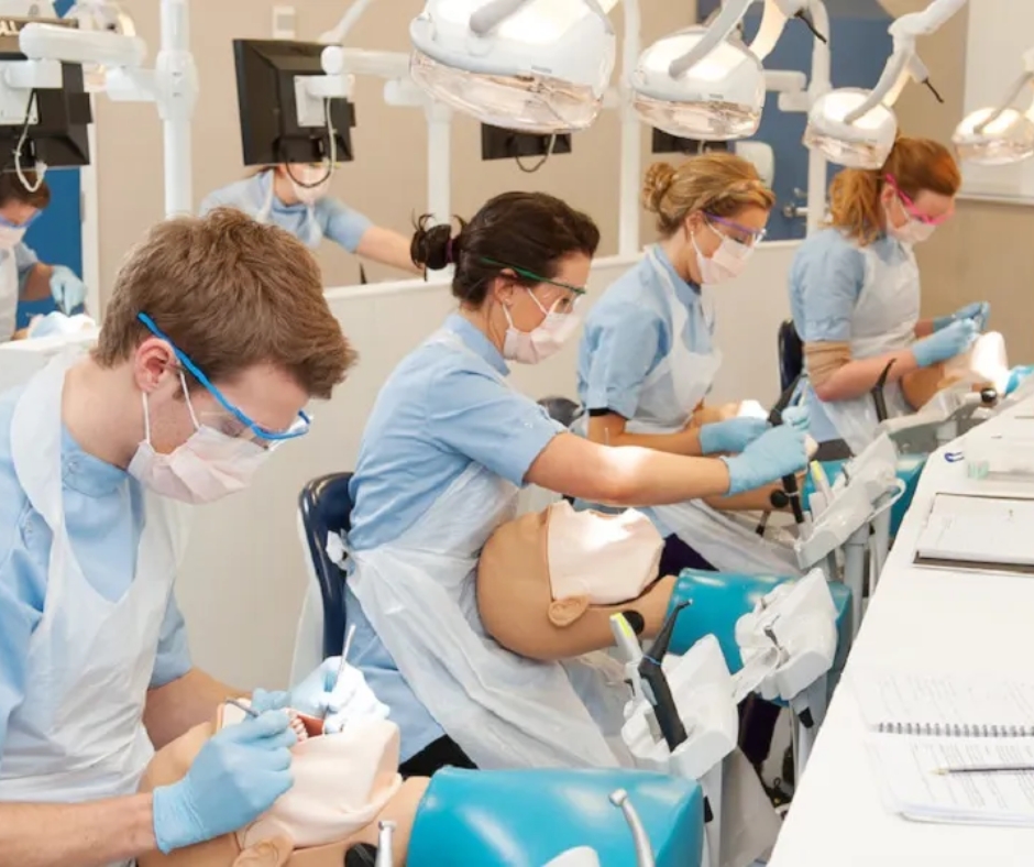Study Dentistry in Poland
