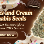 Cookies and Cream Cannabis Seeds