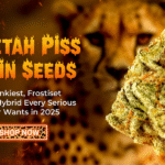 Cheetah Piss Strain Seeds