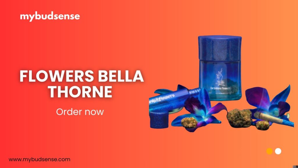 Bella Thorne Weed Brand – High-Quality Cannabis Experience