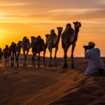 Camel Ride Sunset Photo Shoot Tour in morocco